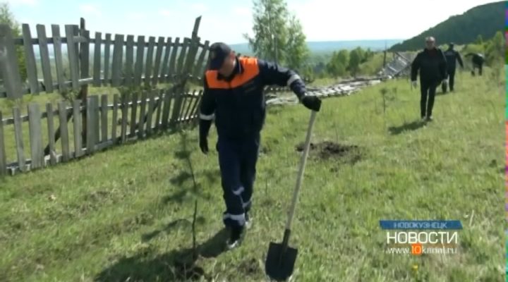 Важная операция на горе Соколиной