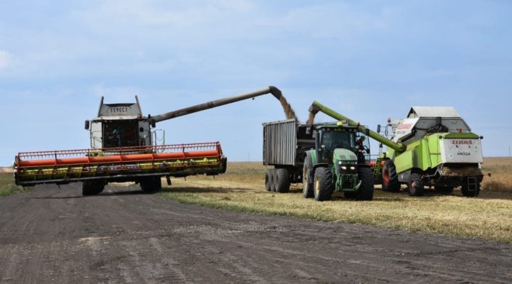 Уборка зерновых культур в Кузбассе завершена на четверть