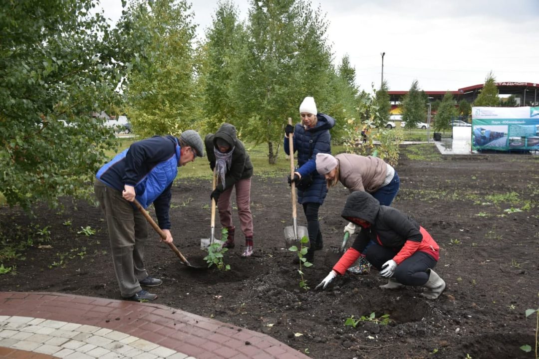 1200 деревьев высадили в парке «Юбилейный» поселка Бачатский