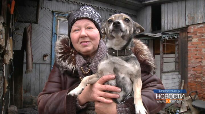 У каждой собаки и кошки должен быть дом