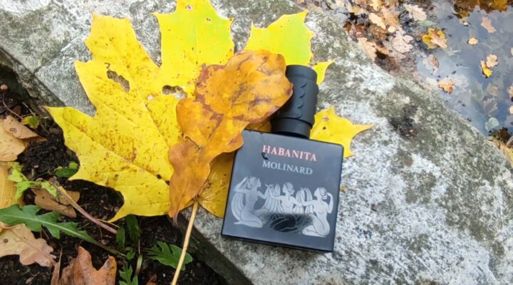 ПарфюМир: Habanita Eau de Parfum Molinard