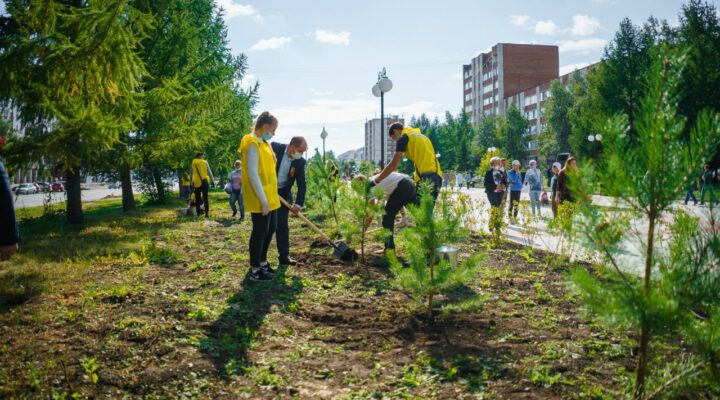 Этой весной в рамках акции «Сад памяти» в Кузбассе планируют высадить более 460 000 деревьев