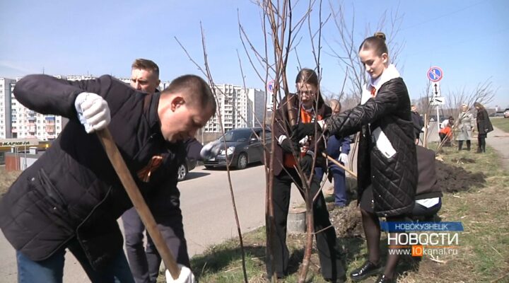 В Новокузнецке в рамках акции «Сад памяти» высадили рябины