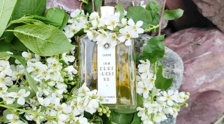 ПарфюМир: Eau De Cologne Narcisse Noir от Caron