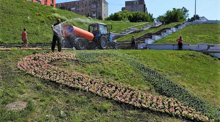 В Кузбассе высадили цветочную композицию в виде сердца — одного из символов Года семьи