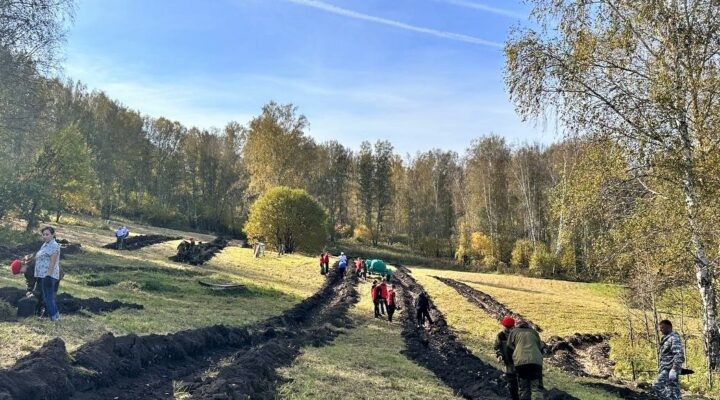 В Кузбассе высадят 2,5 миллиона деревьев в рамках Всероссийской акции «Сохраним лес»